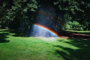 rainbow from sprinkler over green grass Finding a little joy Generative Change Life Changing Coaching Online & By Phone